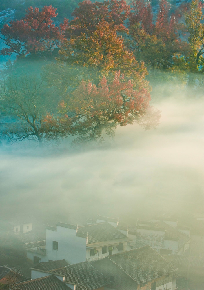 Tierkreiszeichen Impression