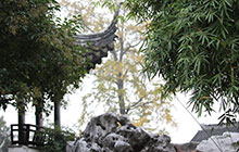 Steingarten in Suzhou