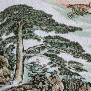 Stickbild "Kiefer im Morgennebel", Huang Shan