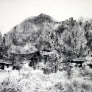 Tuschezeichnung schwarz-weiß